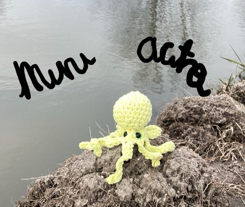 Mini Octo
