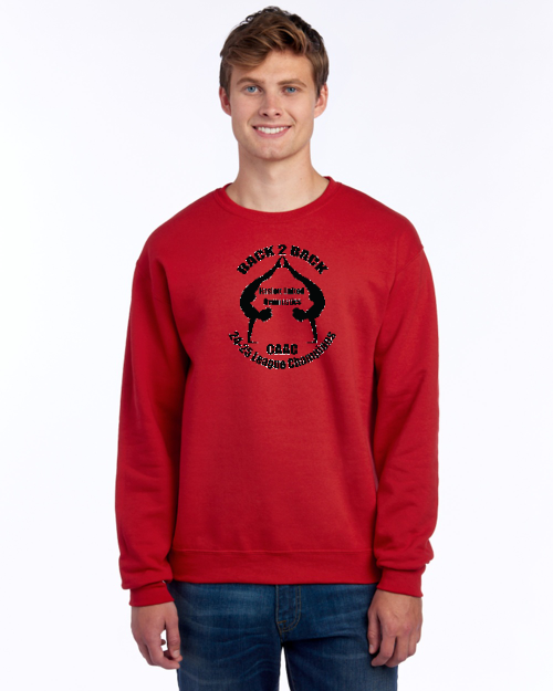 Haslett United Crew Sweatshirt