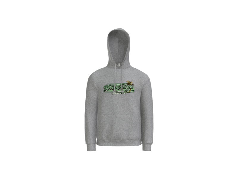 Baseball Hoodie