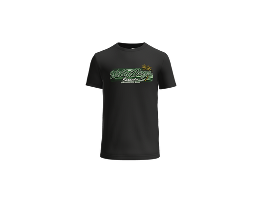 Baseball Bella Canvas T Shirt